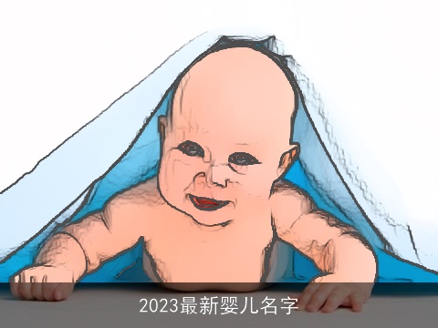 2023最新婴儿名字