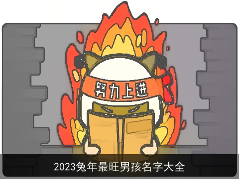 2023兔年最旺男孩名字大全