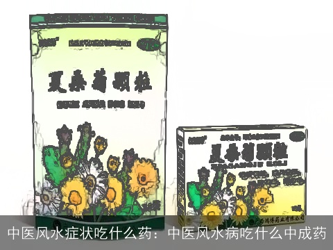 中医风水症状吃什么药：中医风水病吃什么中成药