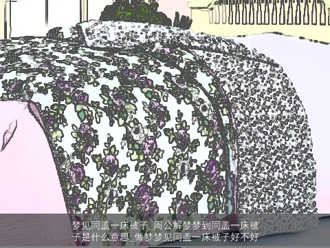 梦见同盖一床被子_周公解梦梦到同盖一床被子是什么意思_做梦梦见同盖一床被子好不好