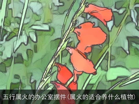 五行属火的办公室摆件(属火的适合养什么植物)
