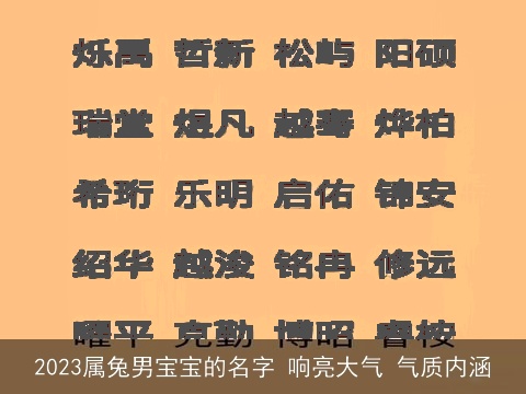 2023属兔男宝宝的名字 响亮大气 气质内涵