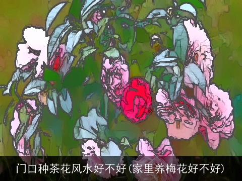 门口种茶花风水好不好(家里养梅花好不好)