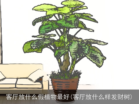 客厅放什么假植物最好(客厅放什么样发财树)