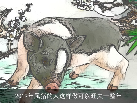 2019年属猪的人这样做可以旺夫一整年