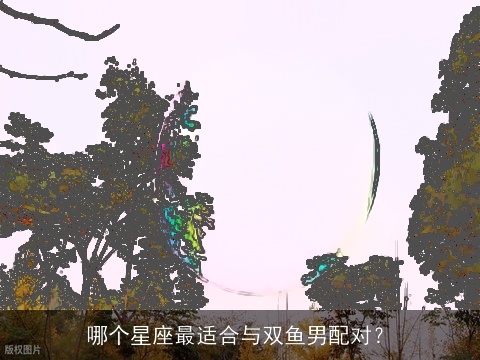 哪个星座最适合与双鱼男配对？