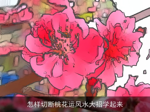 怎样切断桃花运风水大招学起来