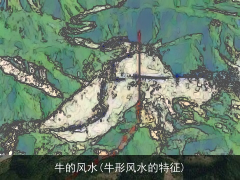 牛的风水(牛形风水的特征)
