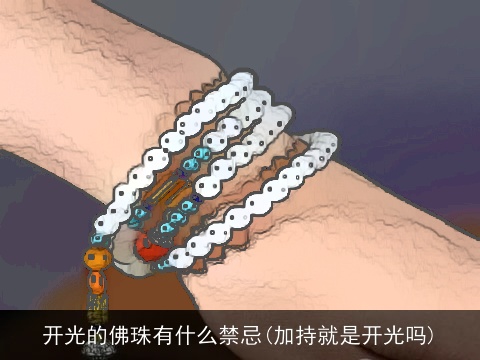 开光的佛珠有什么禁忌(加持就是开光吗)