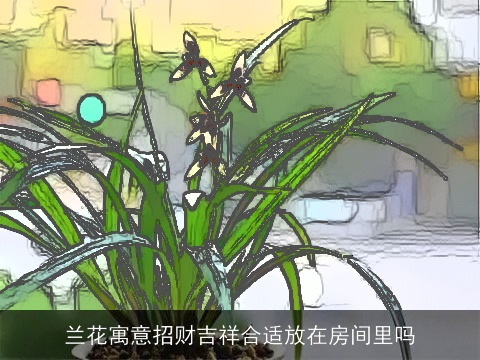 兰花寓意招财吉祥合适放在房间里吗