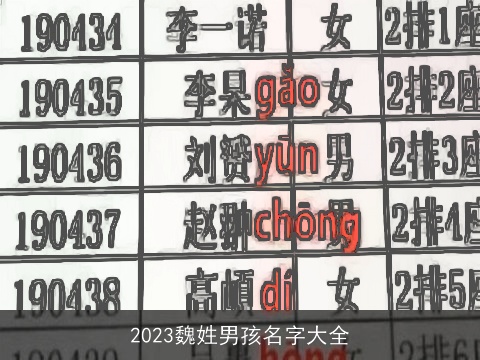 2023魏姓男孩名字大全