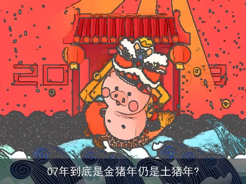 07年到底是金猪年仍是土猪年?