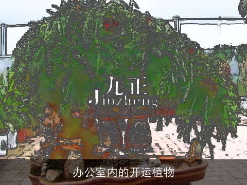 办公室内的开运植物