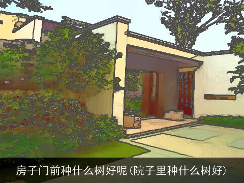 房子门前种什么树好呢(院子里种什么树好)