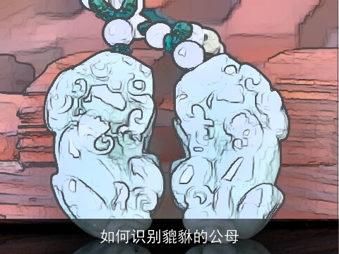 如何识别貔貅的公母