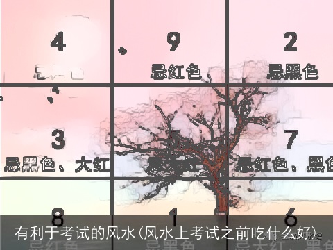 有利于考试的风水(风水上考试之前吃什么好)