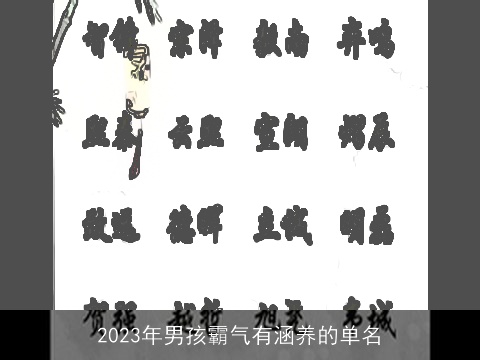 2023年男孩霸气有涵养的单名