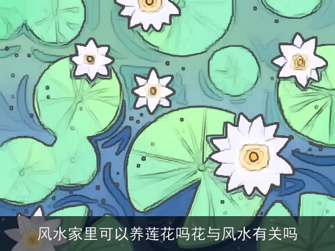 风水家里可以养莲花吗花与风水有关吗