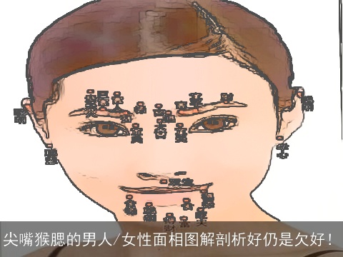 尖嘴猴腮的男人/女性面相图解剖析好仍是欠好！