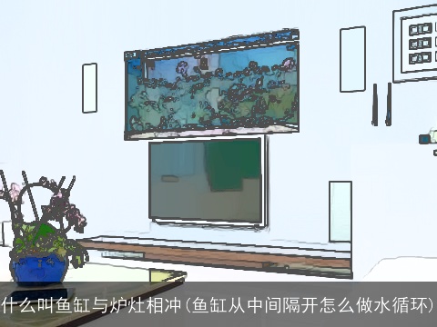 什么叫鱼缸与炉灶相冲(鱼缸从中间隔开怎么做水循环)