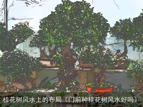 桂花树风水上的布局（门前种桂花树风水好吗）