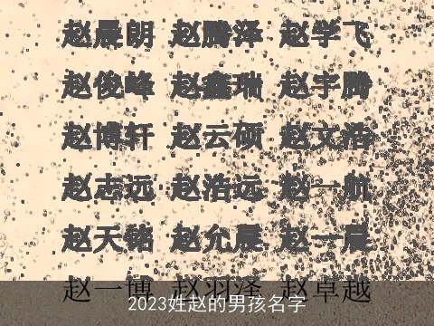 2023姓赵的男孩名字