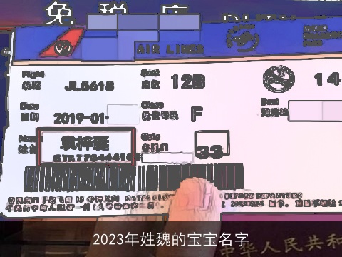 2023年姓魏的宝宝名字