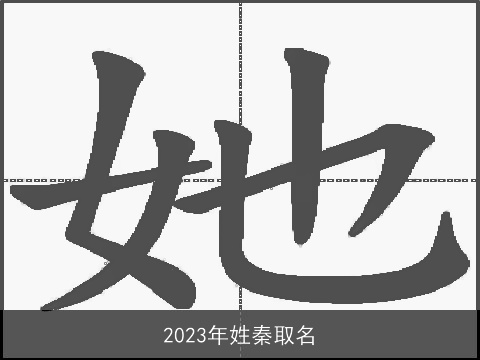 2023年姓秦取名