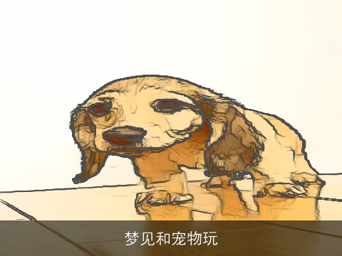梦见和宠物玩
