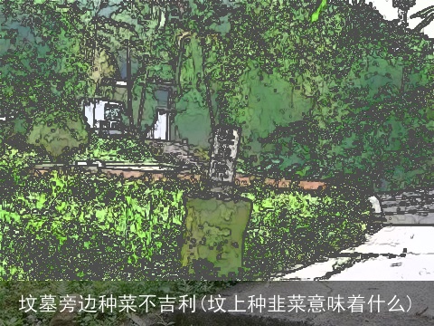 坟墓旁边种菜不吉利(坟上种韭菜意味着什么)