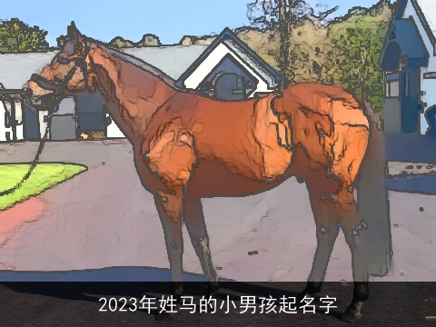 2023年姓马的小男孩起名字