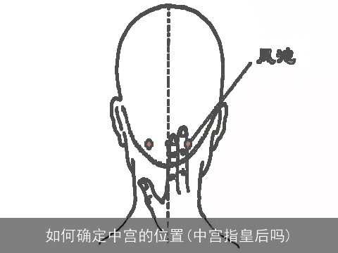 如何确定中宫的位置(中宫指皇后吗)