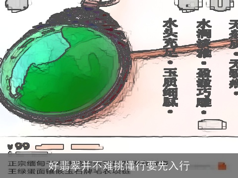 好翡翠并不难挑懂行要先入行