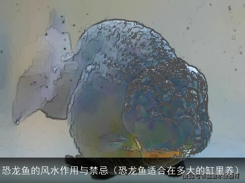 恐龙鱼的风水作用与禁忌（恐龙鱼适合在多大的缸里养）