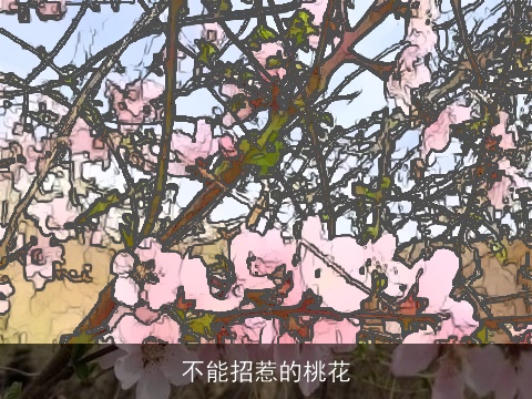 不能招惹的桃花