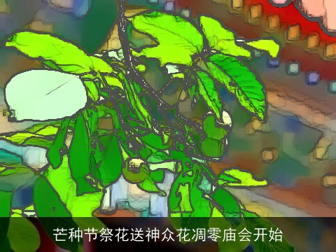 芒种节祭花送神众花凋零庙会开始