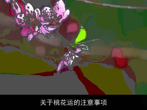 关于桃花运的注意事项