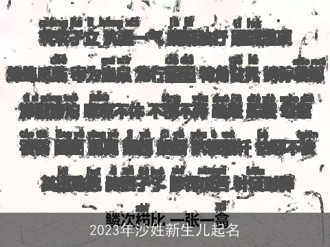 2023年沙姓新生儿起名