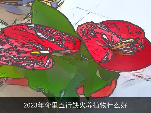 2023年命里五行缺火养植物什么好