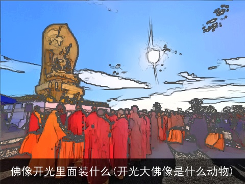 佛像开光里面装什么(开光大佛像是什么动物)