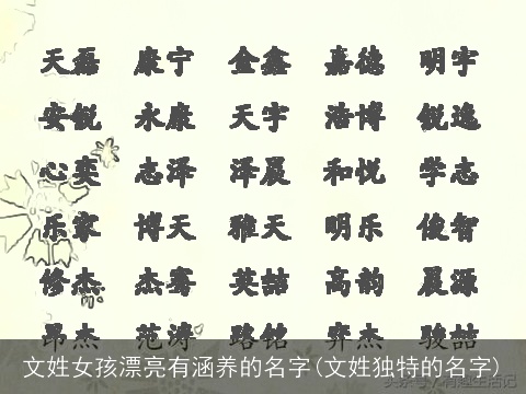 文姓女孩漂亮有涵养的名字(文姓独特的名字)